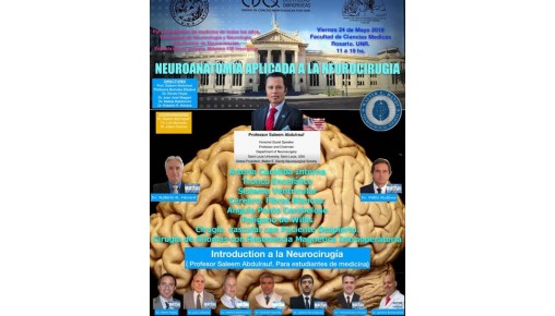 NEUROANATOMÍA APLICADA A LA NEUROCIRUGÍA