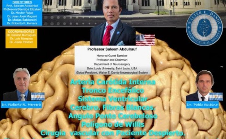 NEUROANATOMÍA APLICADA A LA NEUROCIRUGÍA