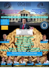 NEUROANATOMÍA APLICADA A LA NEUROCIRUGÍA